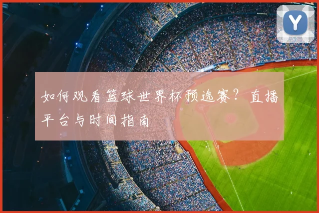 如何观看篮球世界杯预选赛？直播平台与时间指南