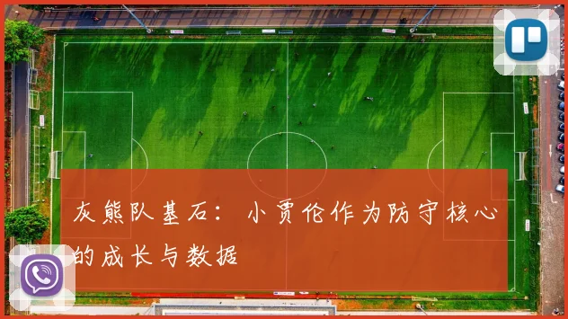 灰熊队基石：小贾伦作为防守核心的成长与数据