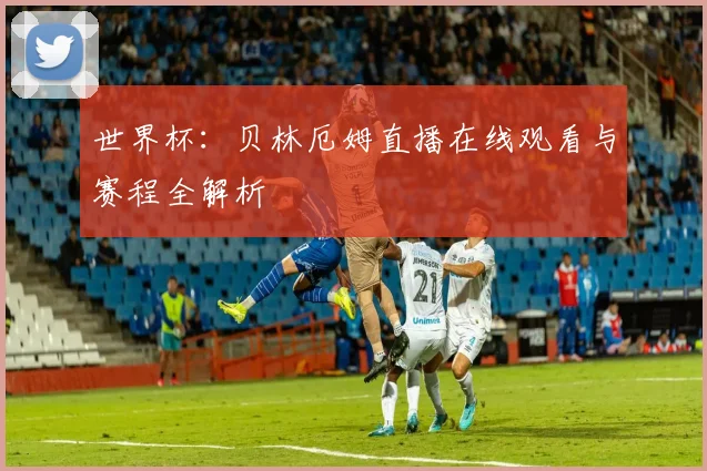 世界杯：贝林厄姆直播在线观看与赛程全解析