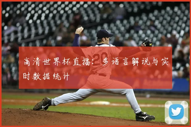 高清世界杯直播：多语言解说与实时数据统计