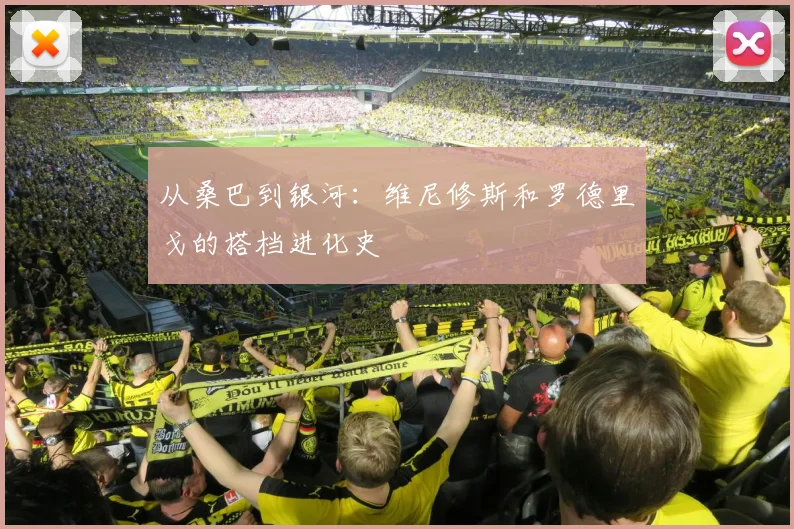 从桑巴到银河:维尼修斯和罗德里戈的搭档进化史