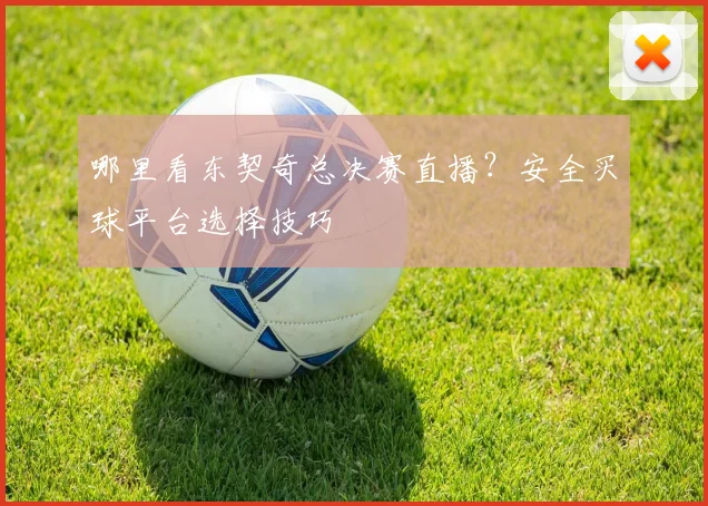 哪里看东契奇总决赛直播？安全买球平台选择技巧