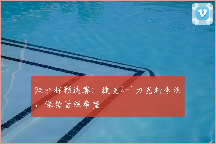 欧洲杯预选赛：捷克2-1力克科索沃，保持晋级希望